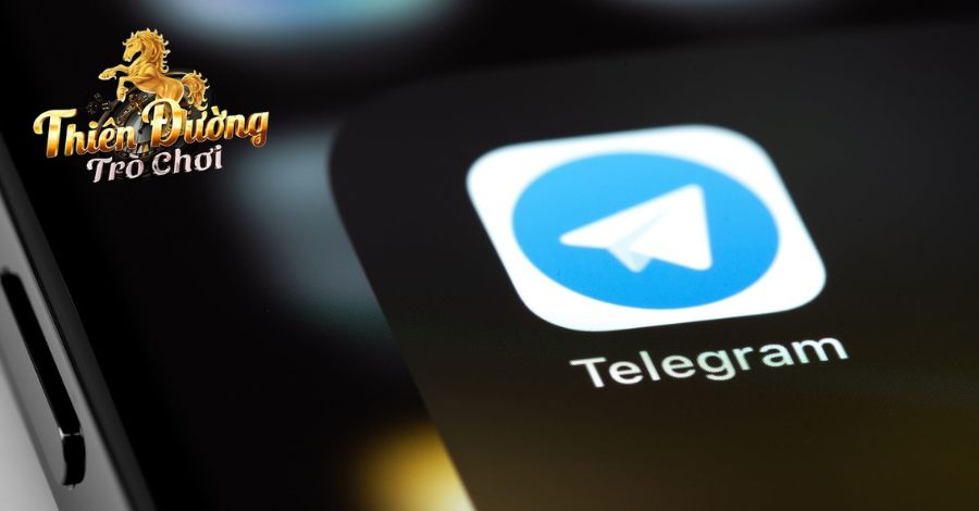 Bạn liên hệ thông qua kênh Telegram